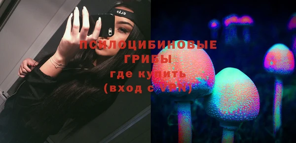 стаф Зеленокумск