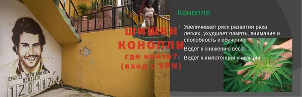 молекула духа Зеленодольск