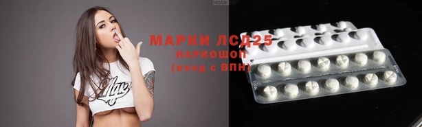 стаф Зеленокумск
