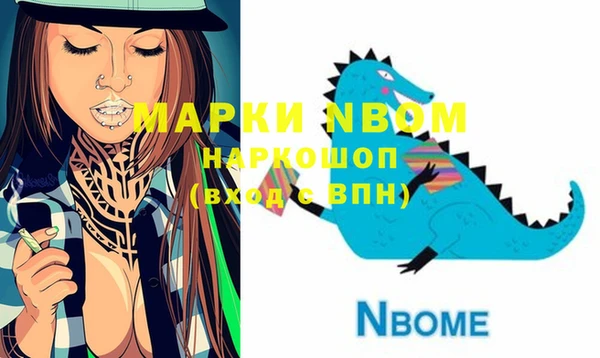 стаф Зеленокумск