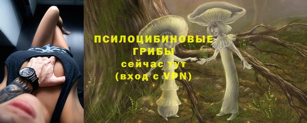 спиды Зерноград