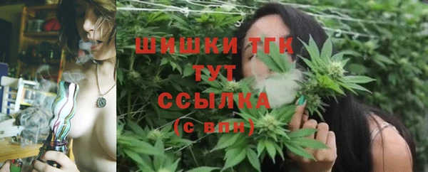 стаф Зеленокумск