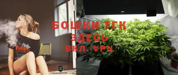 молекула духа Зеленодольск