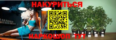 гашик Балашиха