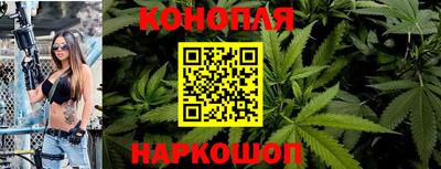 индика Донецк