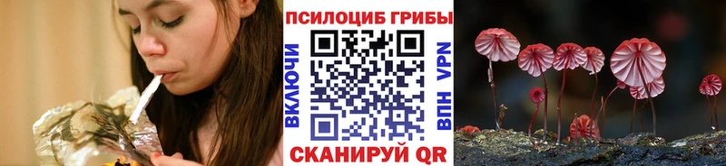 Псилоцибиновые грибы Psilocybe  Волжский 